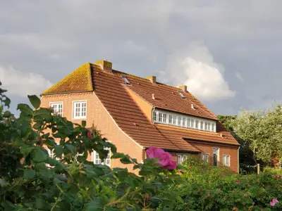 Hauptansicht