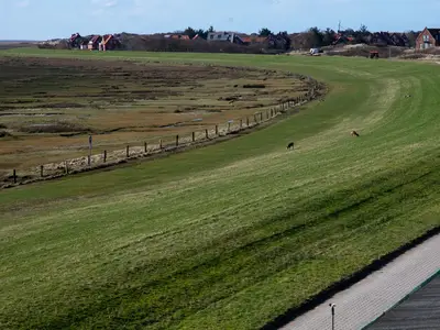 Landschaft