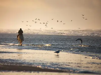 Strand