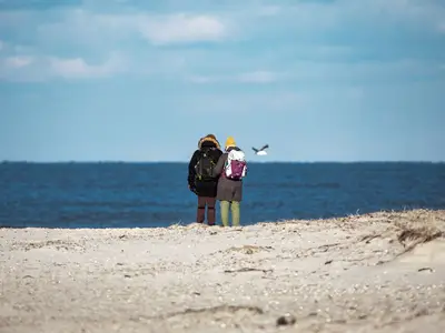Strand