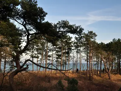 Landschaft