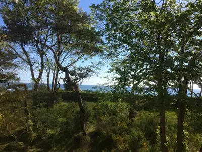 Ferienwohnung für 5 Personen (65 m²) in Juliusruh 6/10