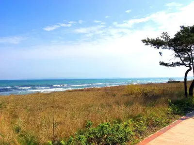 Ferienwohnung für 5 Personen (65 m²) in Juliusruh 8/10