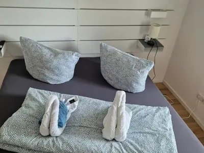Ferienwohnung für 2 Personen (20 m²) in Kaiserslautern 2/10