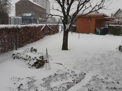 Ferienwohnung für 4 Personen (65 m²) in Kalkar 1/10