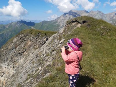 Figerhorn mit Glockner