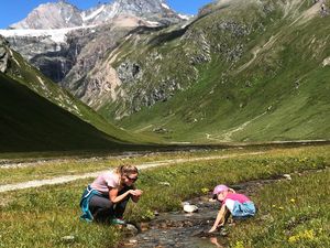 18620498-Ferienwohnung-6-Kals am Grossglockner-300x225-5