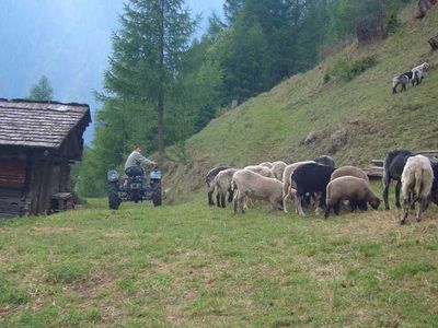 Ferienwohnung für 5 Personen (55 m²) in Kals am Grossglockner 9/10