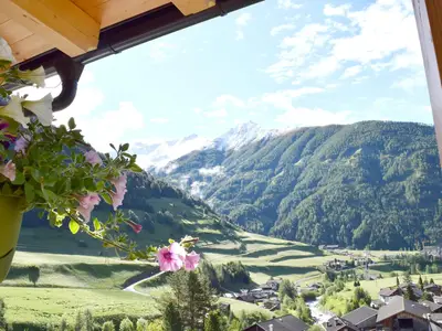 ViewSummer