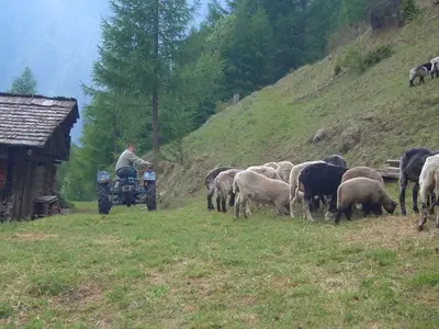 Ferienwohnung für 5 Personen (55 m²) in Kals am Großglockner 9/10
