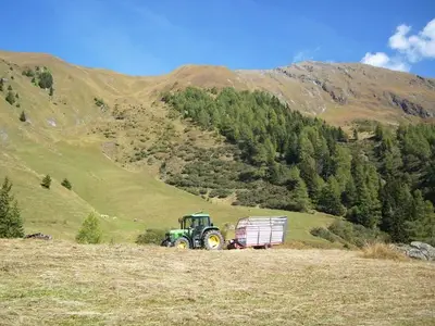 Ferienwohnung für 5 Personen (55 m²) in Kals am Großglockner 10/10