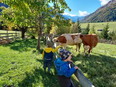 Herbstzeit ist Bauernhofzeit