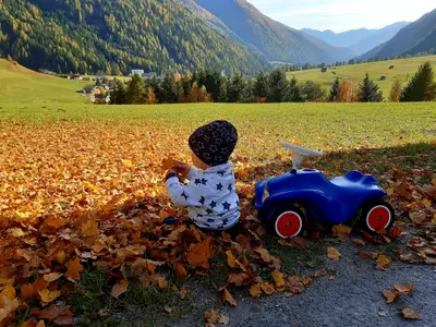 goldener Herbst am Bergerhof