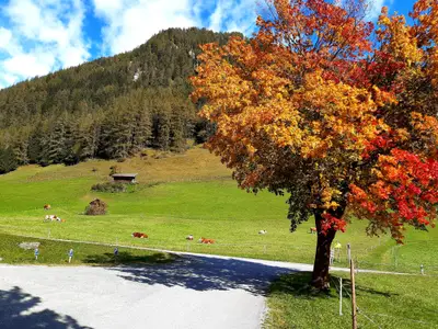 es wird bunt im Herbst am Bergerhof