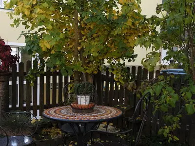 Garten
