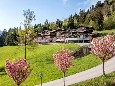 Das Kaltenbach im Frühling