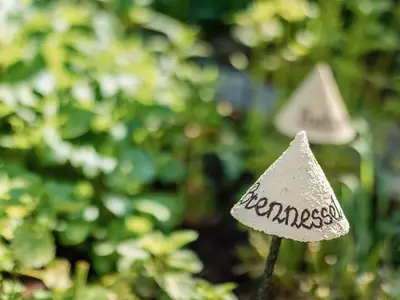 Kräutergarten Detail (4)