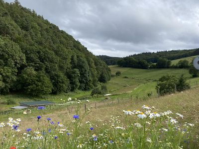 Blick von Kaltenborn zur Hohen Acht