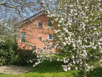 Außenansicht Rückseite