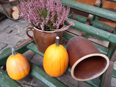 Ferienwohnung für 2 Personen (37 m²) in Kammerforst 1/9