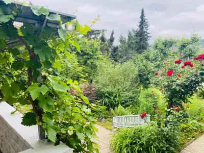 Ferienwohnung für 3 Personen (80 m²) in Kamp-Bornhofen 3/10