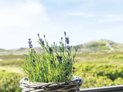 Ferienwohnung für 3 Personen (65 m²) in Kampen 8/10