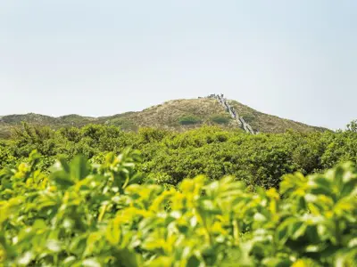 Ferienwohnung für 2 Personen (60 m²) in Kampen 10/10
