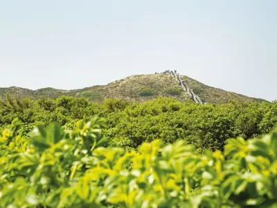 Ferienwohnung für 2 Personen (60 m²) in Kampen 2/10