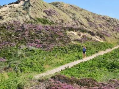 Ferienwohnung für 4 Personen (70 m²) in Kampen 4/10