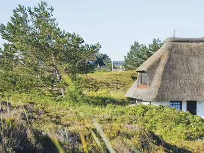 Ferienwohnung für 2 Personen (60 m²) in Kampen 2/7