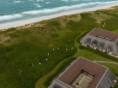 Ferienwohnung für 3 Personen (65 m²) in Kampen 4/10