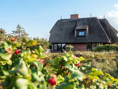 Ferienwohnung für 4 Personen (78 m²) in Kampen 4/10