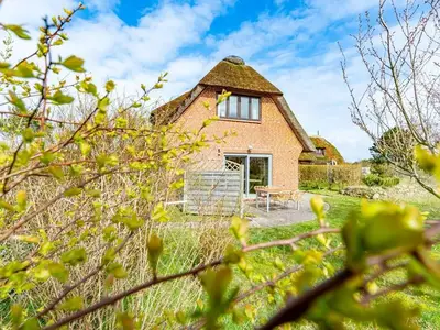 Ferienwohnung für 4 Personen (60 m²) in Kampen 1/10