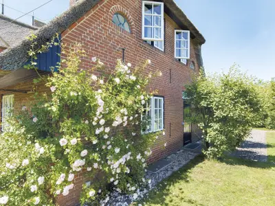 Ferienwohnung für 3 Personen (80 m²) in Kampen 2/9