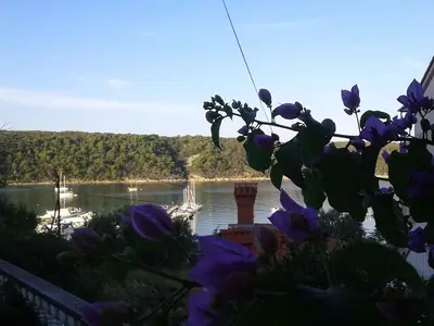 Ferienwohnung für 4 Personen (35 m²) in Kampor 9/10