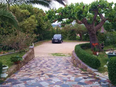 Ferienwohnung für 6 Personen (75 m²) in Kampor 2/10