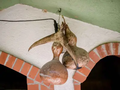 Ferienwohnung für 6 Personen (75 m²) in Kampor 10/10