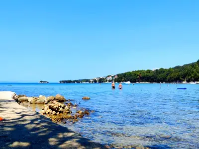 ViewSummer