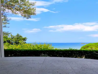 ViewSummer