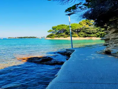 ViewSummer
