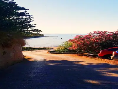 ViewSummer