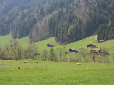 Ausblick