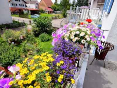 Ferienwohnung für 10 Personen (100 m²) in Kappel-Grafenhausen 2/10