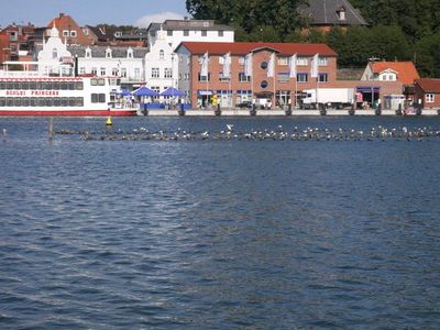 Ferienwohnung für 2 Personen (65 m²) in Kappeln 10/10