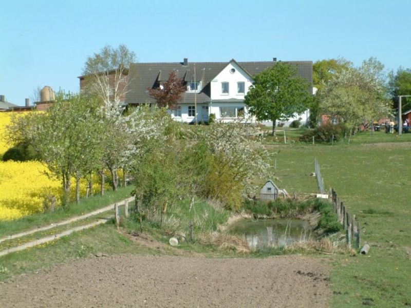 22182307-Ferienwohnung-4-Kappeln-800x600-0