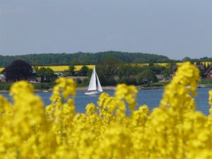 22182307-Ferienwohnung-4-Kappeln-300x225-3