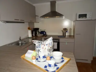 Sonnenblume 2025  11