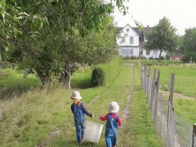 Sommer2020