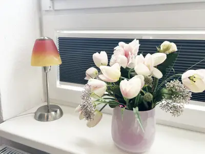 Ferienwohnung für 4 Personen (45 m²) in Kappeln 10/10