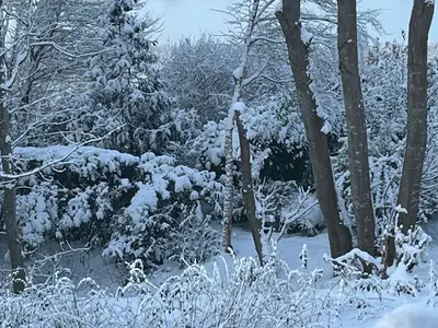 Ferienwohnung für 5 Personen (120 m²) in Kappeln 2/10
